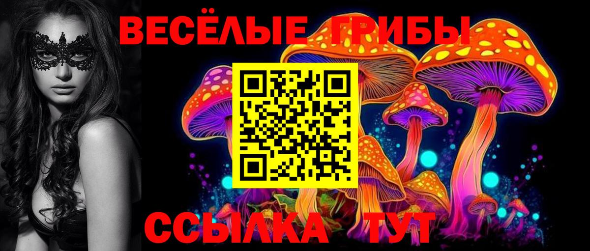 Псилоцибиновые грибы Magic Shrooms Мичуринск