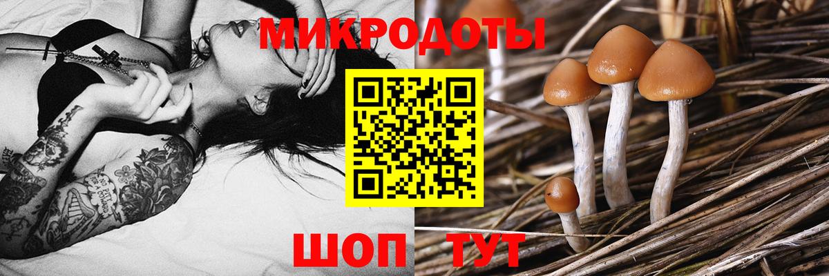 Мичуринск  Галлюциногенные грибы мухоморы  Вход с VPN 