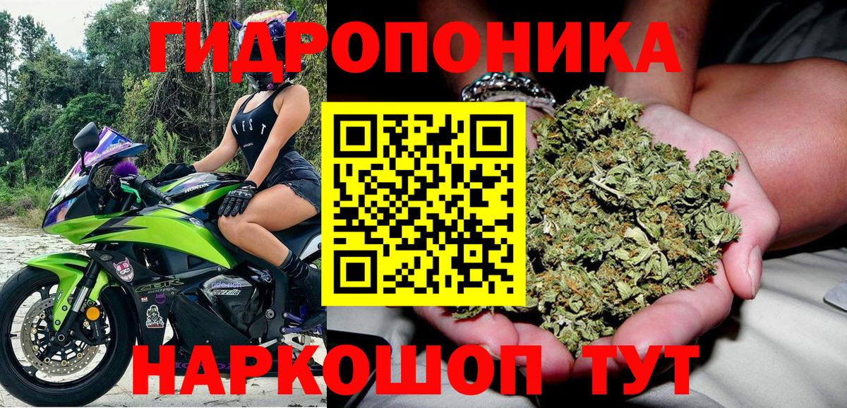 Марихуана сатива  Вход с VPN  Мичуринск  Канабис индика 